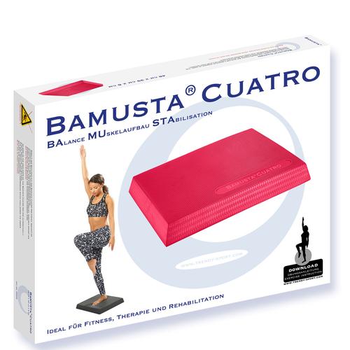 Bamusta - cuatro, red, 1020815, Egyensúlyozás és stabilizáció
