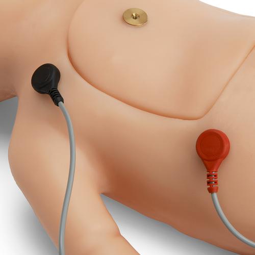 C.H.A.R.L.I.E. Újszülött újraélesztési szimulátor interaktív EKG szimulátor nélkül, 1021584, ÉLETMENTÉS ÚJSZÜLÖTT