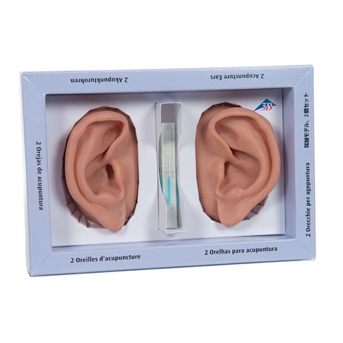 2 akupunktúrás fül, 1000373 [N15], Fül-orr-gégészeti modellek