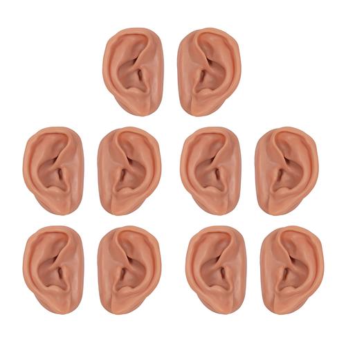 Akupunktúrás fül, készlet 10 hallgató számára, 1000376 [N16], Fül-orr-gégészeti modellek