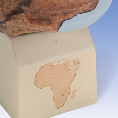 Antropológiai koponya - Broken Hill, 1001297 [VP754/1], Antropológiai koponyák