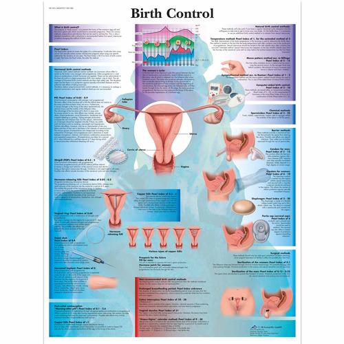 Birth Control, 1001580 [VR1591L], Nőgyógyászat