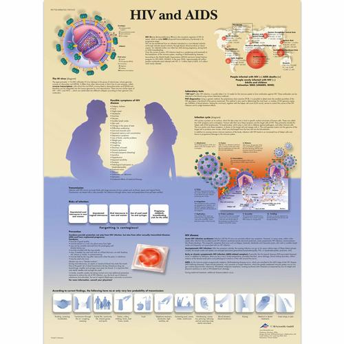 HIV and AIDS, 4006722 [VR1725UU], Paraziták, vírusok és bakteriális fertőzések