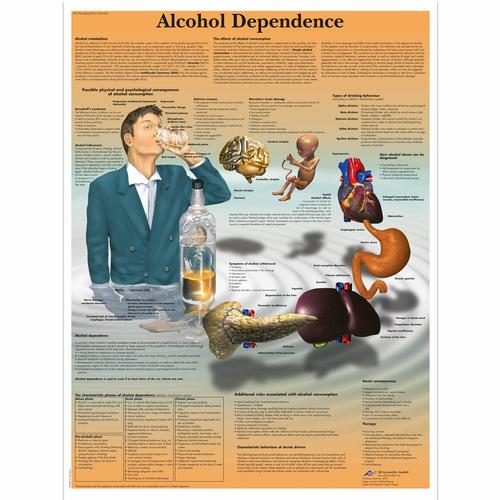 Alcohol Dependence, 1001620 [VR1792L], Kábítószerekkel és alkoholfogyasztással kapcsolatos oktatás