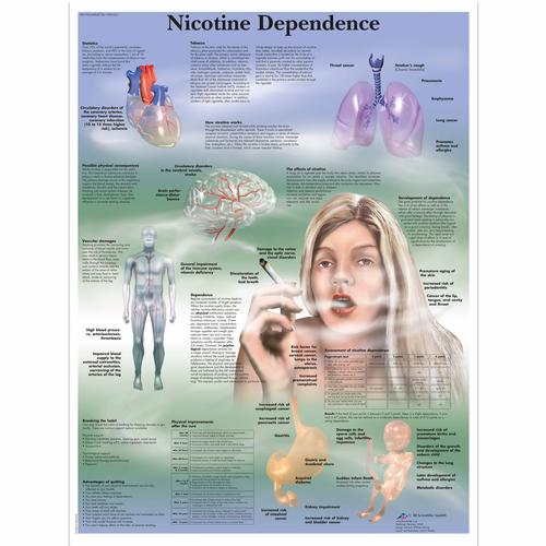 Nicotine Dependence, 4006728 [VR1793UU], Függőség