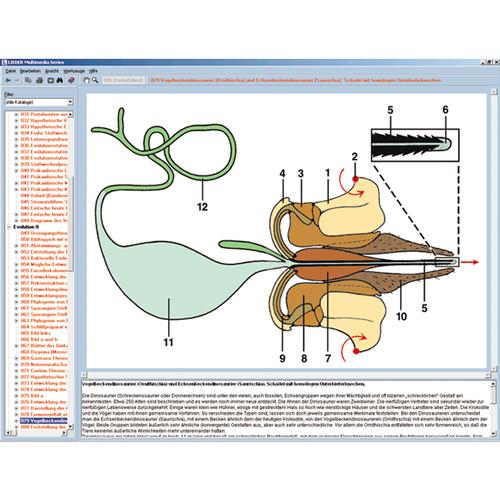 A rovarok világa, interaktív CD-ROM, 1004291 [W13522], Biológiai software