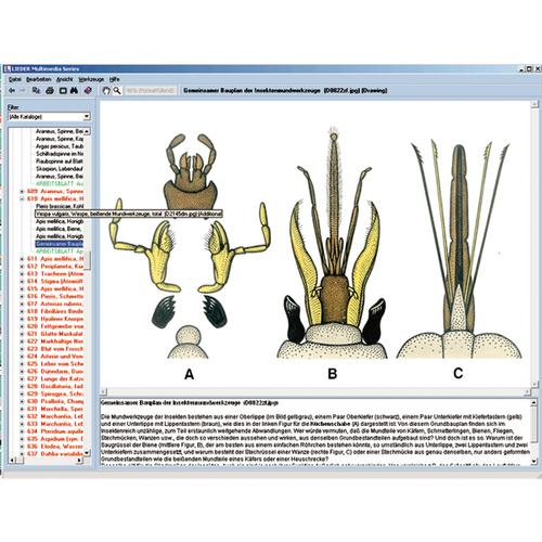 Zoológia az osztályteremben, interaktív CD-ROM, 1004292 [W13523], Biológiai software