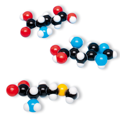 Aminosav 7 modell gyűjtő készlet (kibővített, peptid kötéseket tartalmaz), 1005288 [W19712], Molekulamodellek