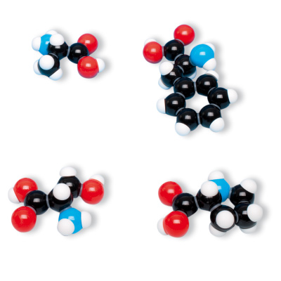 Aminosav 7 modell gyűjtő készlet (kibővített, peptid kötéseket tartalmaz), 1005288 [W19712], Molekulamodellek