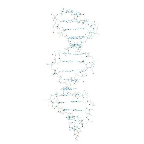 DNS-modell, 1005301 [W19800], DNS-szerkezet és -funkció
