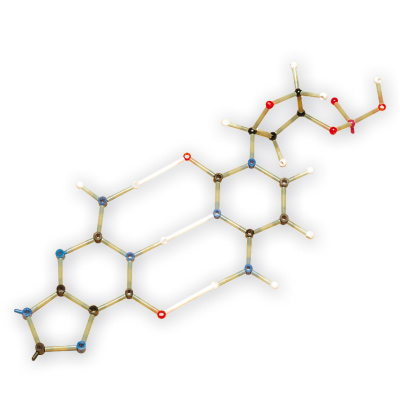 Hallgatói készlet - biokémia, 1005304 [W19803], Molekula készletek