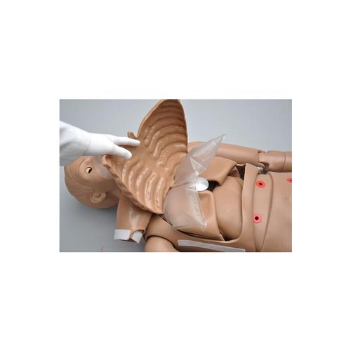 CPR SIMON BLS - teljes alakos szimulátor, 1017559 [W45115], ÉLETEMENTÉS FELNŐTT