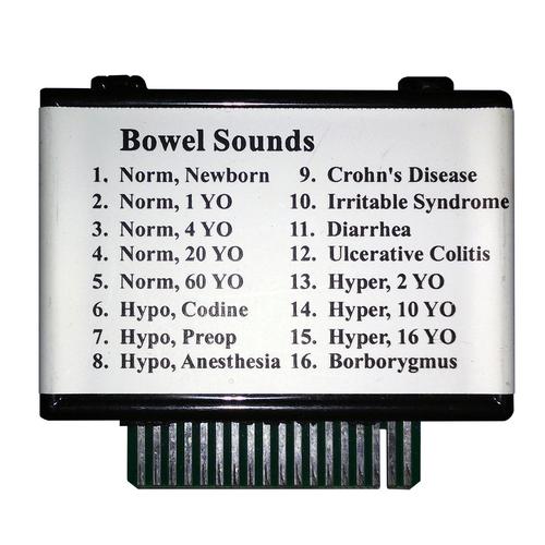 Bowel Sounds for Heart and Breath Sounds Simulator, 1018195 [W49436], AUSZKULTÁCIÓ