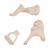 Hallócsontocskák, 20-szoros nagyítás, Bonelike, 1012786 [A101], Egyéb csont modellek (Small)