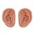 Akupunktúrás fül, készlet 10 hallgató számára, 1000376 [N16], Fül-orr-gégészeti modellek (Small)