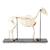 Ló csontváz (Equus ferus caballus), nőstény, 1021002 [T300141f], Farm Animals (Small)