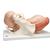 Szülés menete, 5 stádium - 3B Smart Anatomy, 1001258 [VG392], Terhességi modellek (Small)