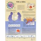   VIH et SIDA, 1001778 [VR2725L], Szexuális és kábítószerekkel kapcsolatos felvilágosítás