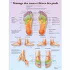 Massage des zones réflexes
des pieds, 4006811 [VR2810UU], Akupunktúra