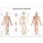 Acupuncture corporelle, 1001795 [VR2820L], Modellek