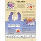  VIH y SIDA, 1001939 [VR3725L], Szexuális és kábítószerekkel kapcsolatos felvilágosítás