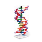 DNS-szerkezet és -funkció
